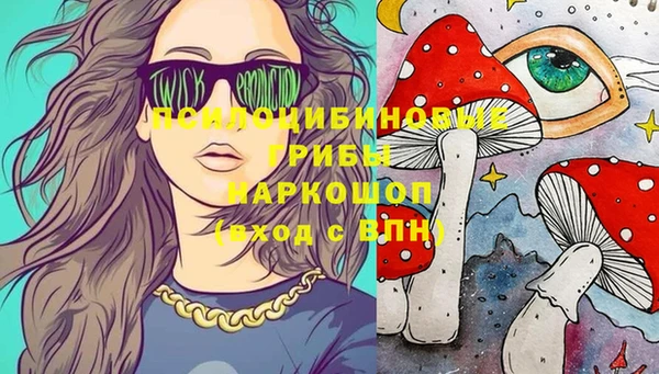 шишки Баксан