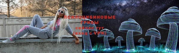 шишки Баксан
